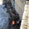 Şırnak'ta otomobil dereye düştü Şırnak'ta otomobil dereye düştü