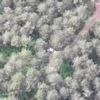 Sultanbeyli de ormanda piknik yapan 2 kişi drone ile ...