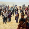 300 Yezidi serbest bırakıldı