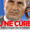 AB Komisyonu üyesinden garip Erdoğan beklentisi