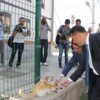 Chp’liler Kedilere Ciğer Dağıttı