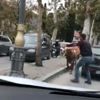 Sahibinin elinden kaçan boğa trafiği karıştırdı Sahibinin elinden kaçan boğa trafiği karıştırdı