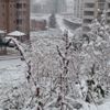 Samsun'da eğitime kar engeli