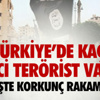 Kazayı İzleyen Yayaya Tur Otobüsü Çarptı