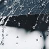Meteoroloji duyurdu! Bugün hava nasıl olacak? (17 Nisan 2019 hava durumu)