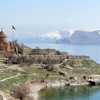 Akdamar’da tavşan alarmı Akdamar’da tavşan alarmı