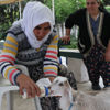 Annesi ölen keçiyi bebekleri gibi besliyorlar Annesi ölen keçiyi bebekleri gibi besliyorlar
