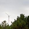Tüm elektrik ihtiyacını rüzgardan karşılayacak Tüm elektrik ihtiyacını rüzgardan karşılayacak