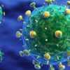 Mali'de Ebola bitti Mali'de Ebola bitti