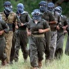 8 Terörist Öldürüldü