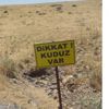 Köpek kuduz çıktı, köy karantinaya alındı