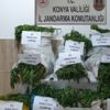 Konya'da zehir tacirlerine operasyon! Tam 90 kilo esrar...