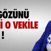 Balık adamlar "doğal akvaryumu" görüntüledi Balık adamlar "doğal akvaryumu" görüntüledi