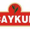 Varlık Fonundan ’Çaykur’ açıklaması
