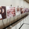 Vahşetin Fotoğrafları BM'de