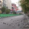 İran'da sıkı koronavirüs tedbirleri İran'da sıkı koronavirüs tedbirleri