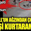 ﻿ Kartal'da Pitbull'un ağzından çocuğu 8 kişi kurtaramadı