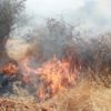 Adıyaman’da, orman yangını korkuttu