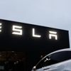 Tesla, Almanya'daki fabrikası için 92 hektarlık ormanlık alanı yok edecek Tesla, Almanya'daki fabrikası için 92 hektarlık ormanlık alanı yok edecek
