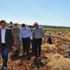 Besni’de sarımsak hasadı başladı Besni’de sarımsak hasadı başladı