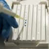 DNA onarımının kritik bileşeni bulundu