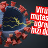 Koronavirüsün mutasyona uğrama hızının düştüğü iddia edildi