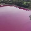 Avustralya’da pembeye bürünen göl