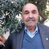 Edremit körfezindeki zeytin üreticileri ilaçlama bekliyor Edremit körfezindeki zeytin üreticileri ilaçlama bekliyor