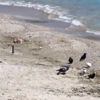 Bodrum bugün de sessizdi