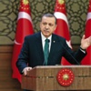 Erdoğan: Bedelini ödeyecekler