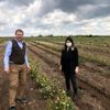 Aronia yetiştiriciliğinde zararlılarla mücadele devam ... Aronia yetiştiriciliğinde zararlılarla mücadele devam ...