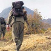 Öcalan da istese silah bırakmayız! Öcalan da istese silah bırakmayız!