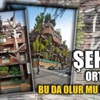Şehrin ortasında 'ağaç apartman' Şehrin ortasında 'ağaç apartman'