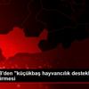 TÜDKİYEB den "küçükbaş hayvancılık destekleri" değerlendirmesi TÜDKİYEB den "küçükbaş hayvancılık destekleri" değerlendirmesi