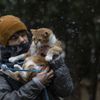 İstanbul'da kar yağışı sürüyor