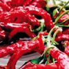 Acı biber mikropları öldürüyor
