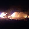 Burhaniye de ot yangını korkuttu Burhaniye de ot yangını korkuttu