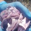 Uslanmayan kalpazanlara polis darbesi Uslanmayan kalpazanlara polis darbesi