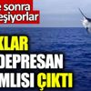 ﻿Balıklar antidepresan bağımlısı çıktı