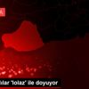 Şanlıurfalılar lolaz ile doyuyor
