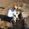 Niğde de 4 gündür su kuyusunda mahsur kalan köpek ... Niğde de 4 gündür su kuyusunda mahsur kalan köpek ...