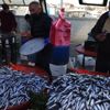Hamsinin kilosu 10 TL'ye kadar düştü, vatandaşın yüzü güldü Hamsinin kilosu 10 TL'ye kadar düştü, vatandaşın yüzü güldü