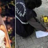 TEM'de akılalmaz ölüm...