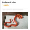 İsteyen yılan da alıyor tarantula da. İnternette büyük tehlike İsteyen yılan da alıyor tarantula da. İnternette büyük tehlike
