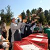 Yalova da bin adet sülün doğayla buluştu Yalova da bin adet sülün doğayla buluştu