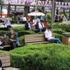 Trabzon'da caddeler dolu, pandemi unutuldu Trabzon'da caddeler dolu, pandemi unutuldu