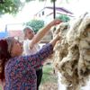 Yapağı, hayvan yetiştiricisinin elinde kaldı Yapağı, hayvan yetiştiricisinin elinde kaldı