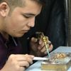 Gurbetçiler Kahramanmaraş’ta altın üretimini uçurdu
