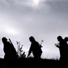 2 terörist tutuklandı 2 terörist tutuklandı