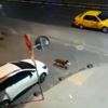 Kümese dadanan sokak köpeği kamerada